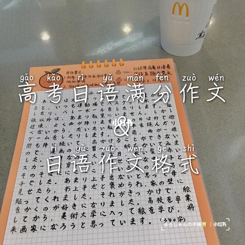 动漫人物日语作文300字