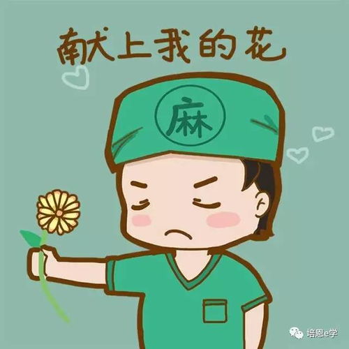 老头茶好不好