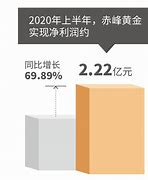 赤峰黄金上半年业绩喜人，预计净利同比增长%%